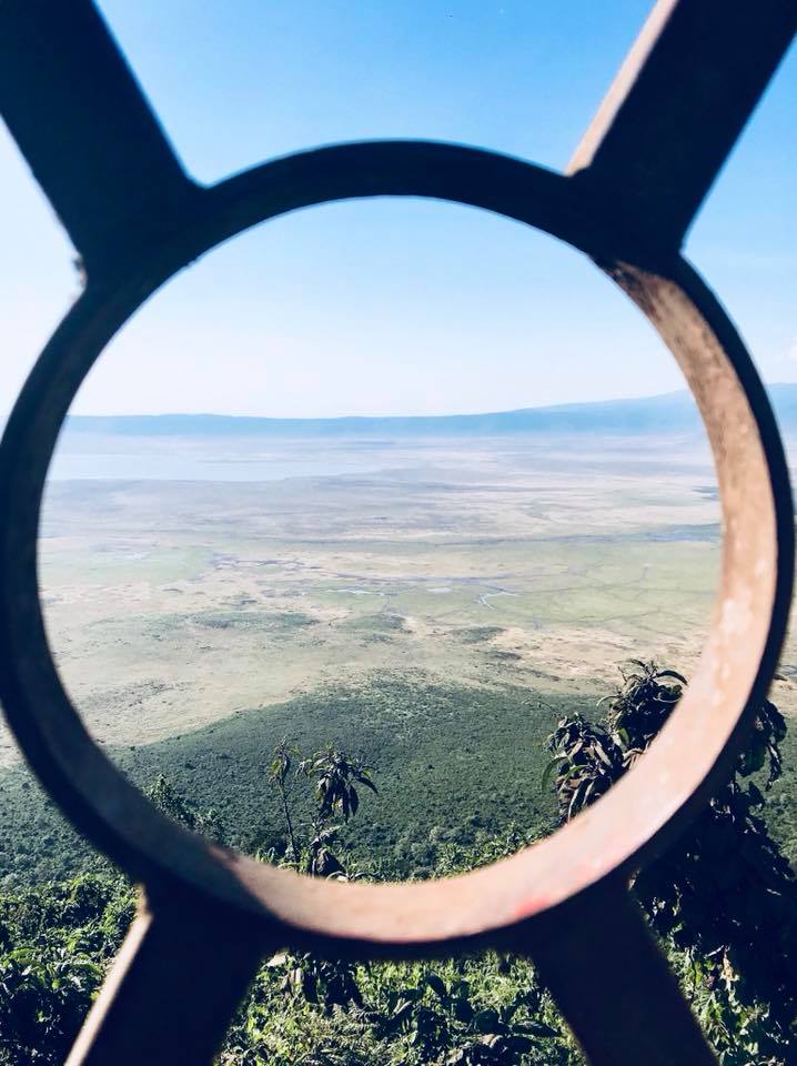 Hope in the Face of Devastation